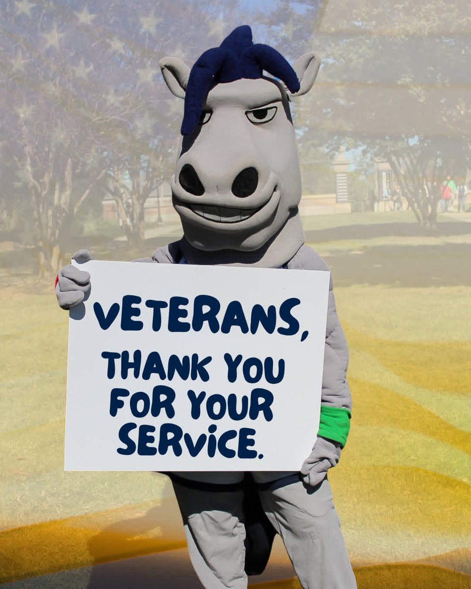 LongwoodCGPS's tweet photo. Today, we honor the courage and sacrifice of those who have served our country. Thank you, Veterans. πΊπΈ #LWGradStudies #LongwoodU https://t.co/l1iyvKpgF3