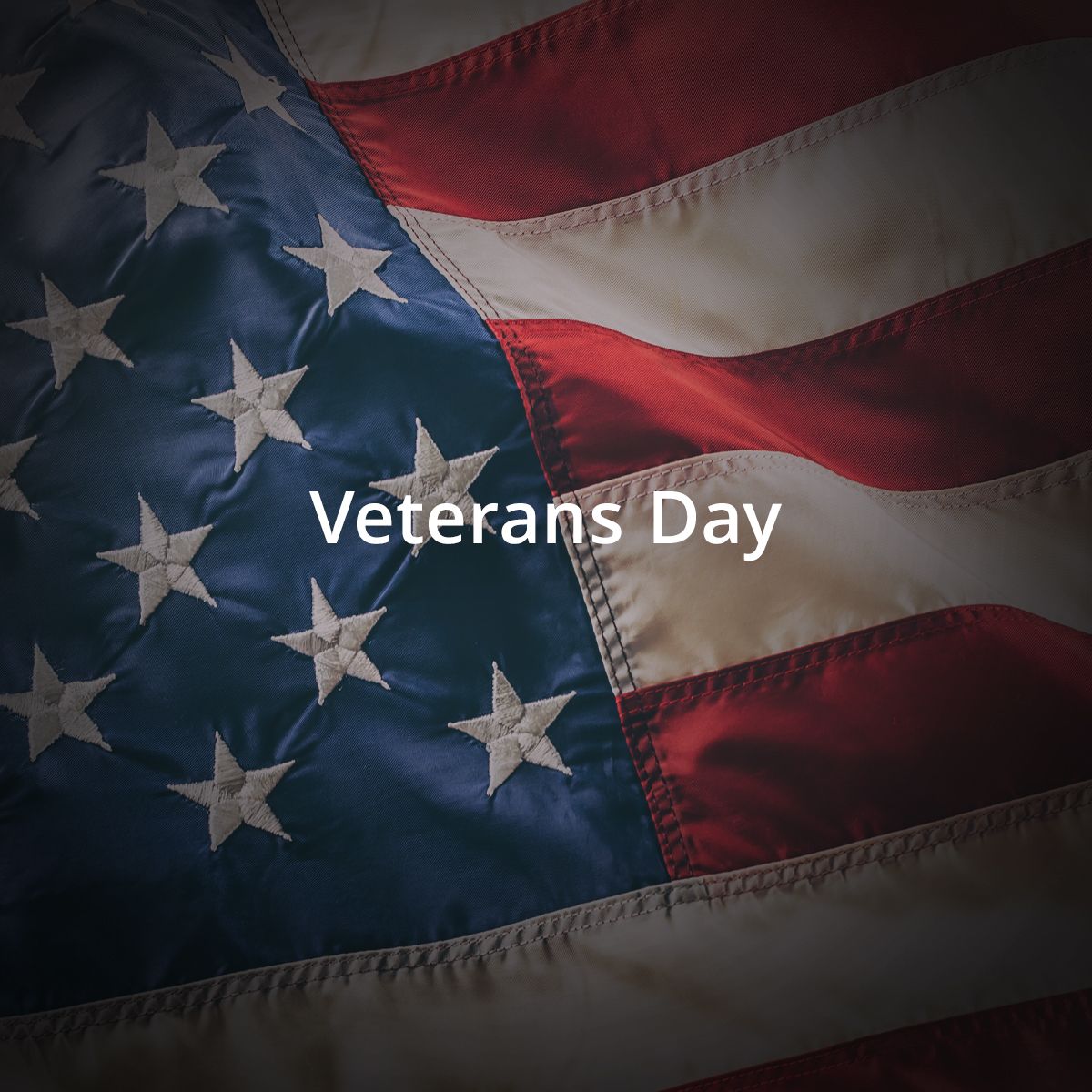 TechTrendInc's tweet image. This Veterans Day, we&apos;re honoring those who have served and sacrificed. We&apos;re grateful for your selfless service. 🇺🇸