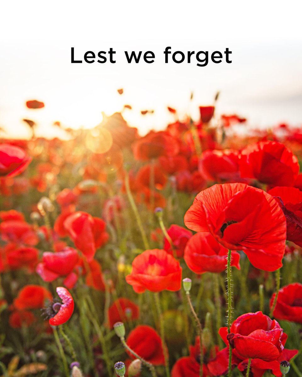 Queen's Mech tweet media