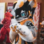 Photo by 羽林 (@Dragon_Feather)