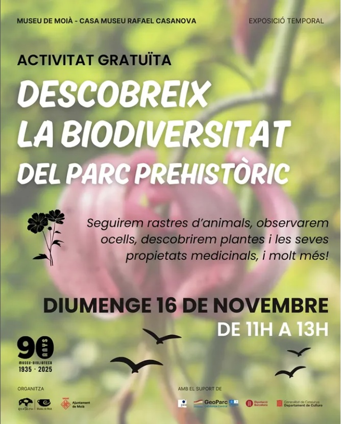 Vine a descobrir la Biodiversitat del Parc Prehistòric de les Coves del Toll de la mà de <a href="/GaiaGuies/">GAIA-Serveis Ambientals</a>   el proper diumenge 16 de novembre
Una activitat gratuïta on seguirem rastres d’animals, observarem ocells, descobrirem plantes i les seves propietats <a href="/Geoparc/">Geoparc Catalunya Central</a>