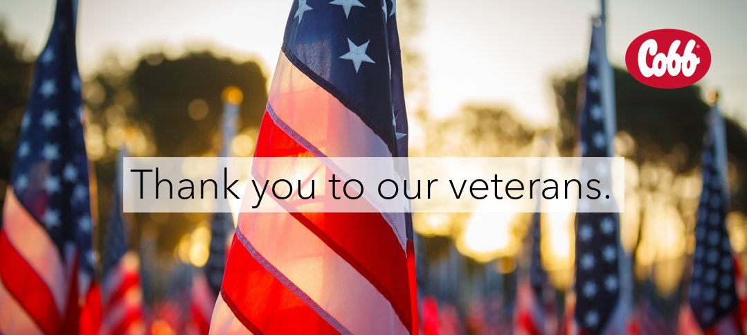 We want to salute veterans, especially today. Thank you for your service! 🇺🇸