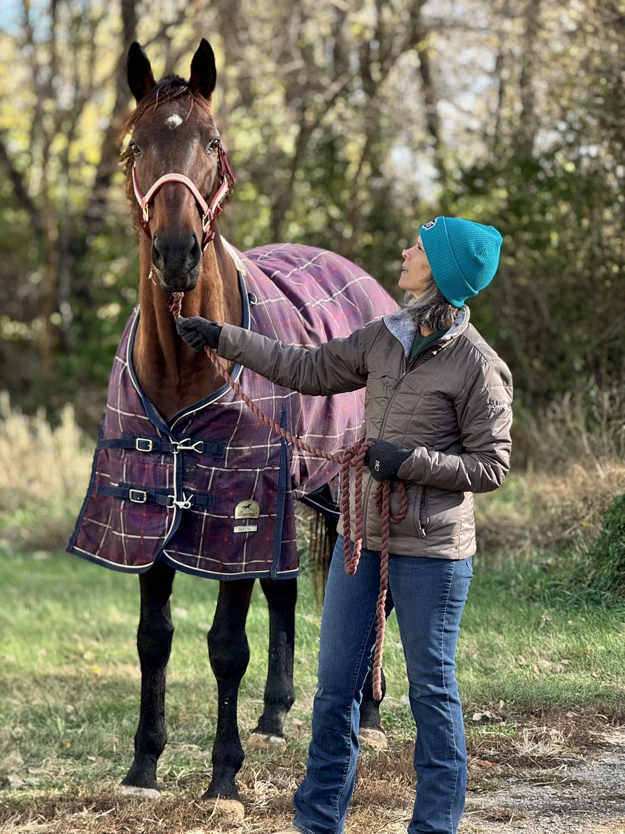 Unbridledones's tweet photo. When you look this good, every Tuesday is a photo op. #WhitePass #ThoroughbredStyle https://t.co/WyTVGyUXjj