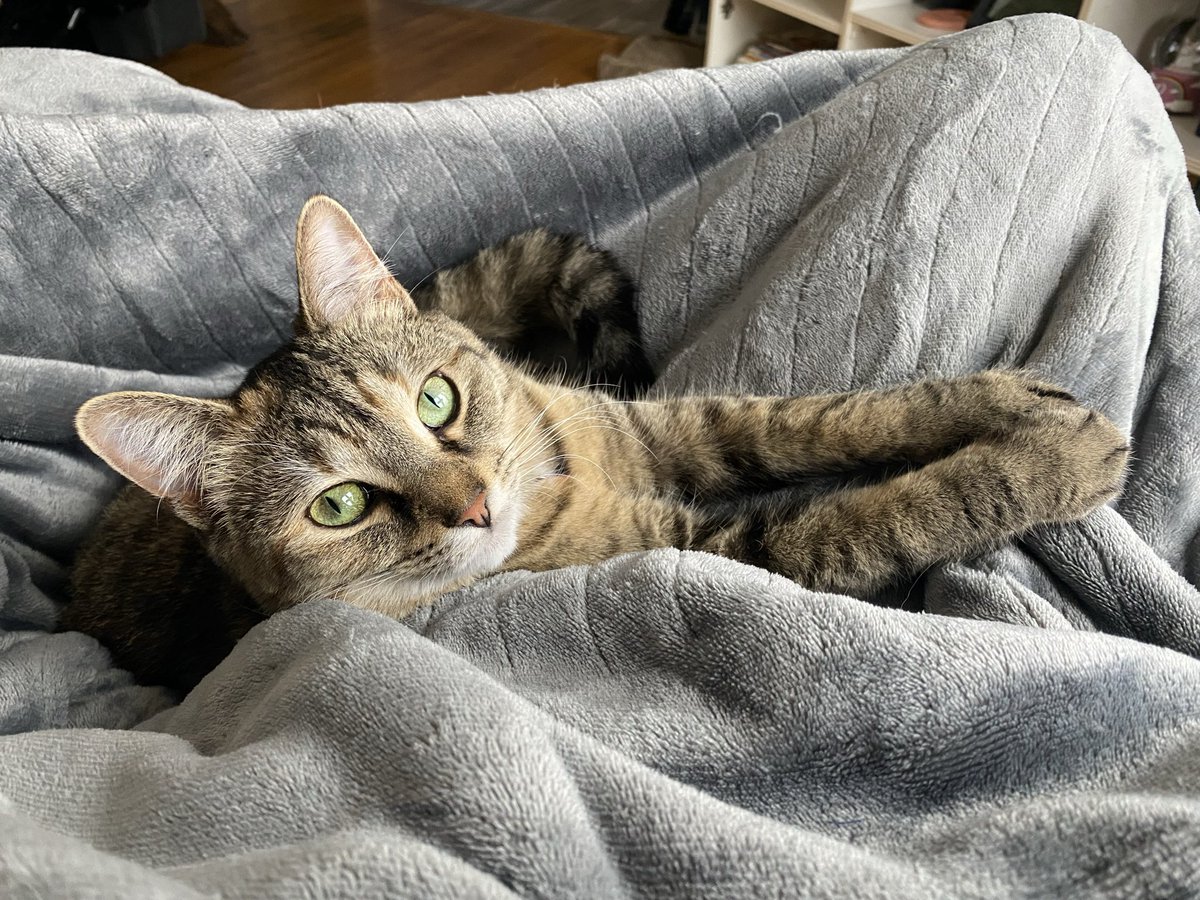 Shannon West 🇨🇦 tweet media