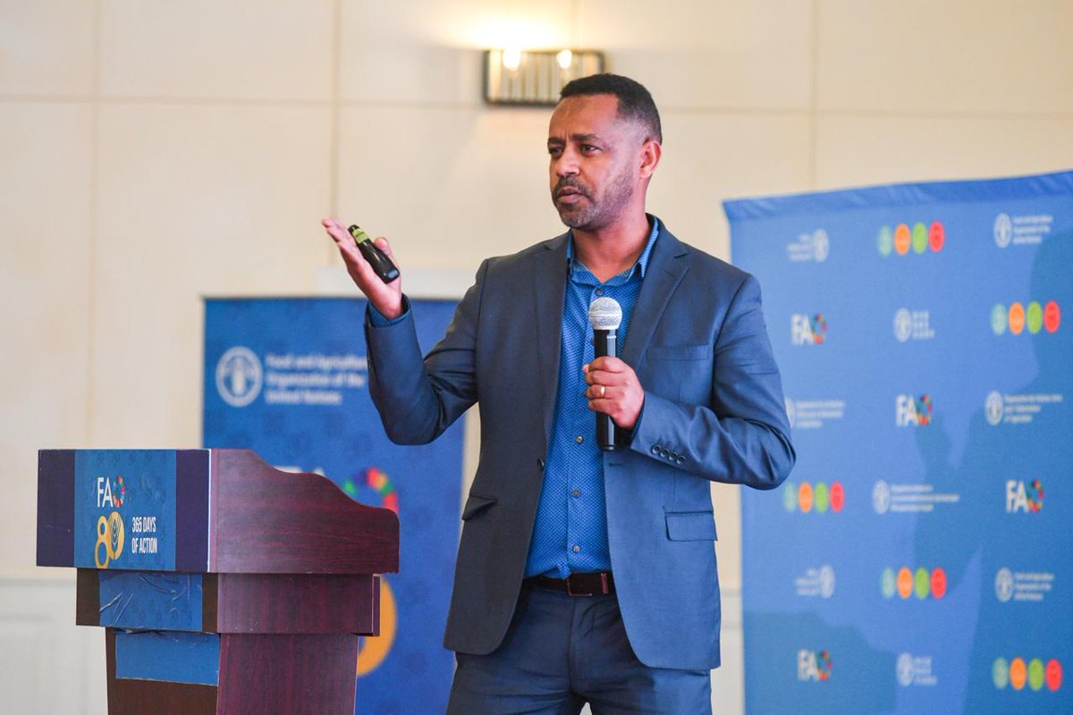 FAOEastAfrica's tweet photo. The 19th Multidisciplinary Team Meetg of @FAOEastAfrica, in its Day 2, highlighted progress in aligning FAO’s support with #UNSDCF, the Common Country Analysis & #CPFs, calling for stronger UN system coherence and learning to advance FAO’s strategic priorities in the region. https://t.co/2LkObmtDgT