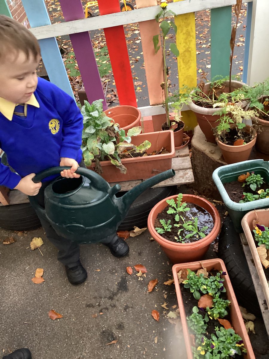 StMaryB17's tweet image. Reception have been busy creating and tidying their “Garden of  Peace” today. They have planted some real poppy plants! Reception have also been thinking about and talking about ways they can share “Peace” with each other #UTW #PSED