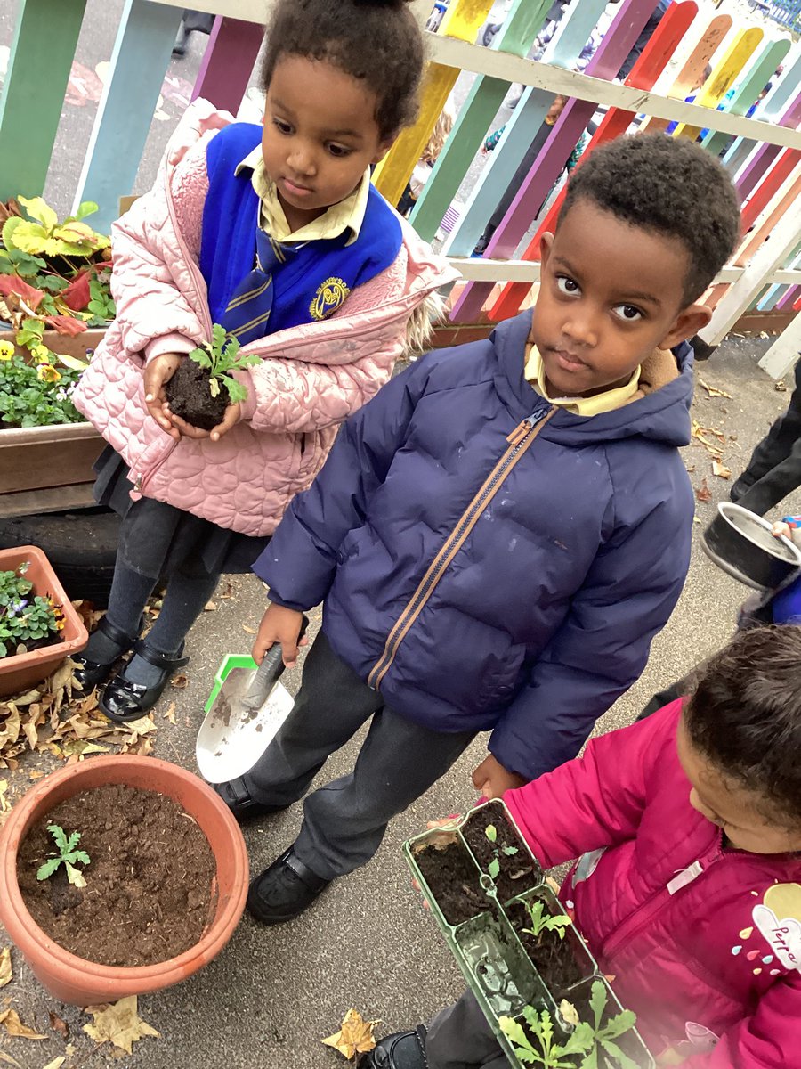StMaryB17's tweet image. Reception have been busy creating and tidying their “Garden of  Peace” today. They have planted some real poppy plants! Reception have also been thinking about and talking about ways they can share “Peace” with each other #UTW #PSED