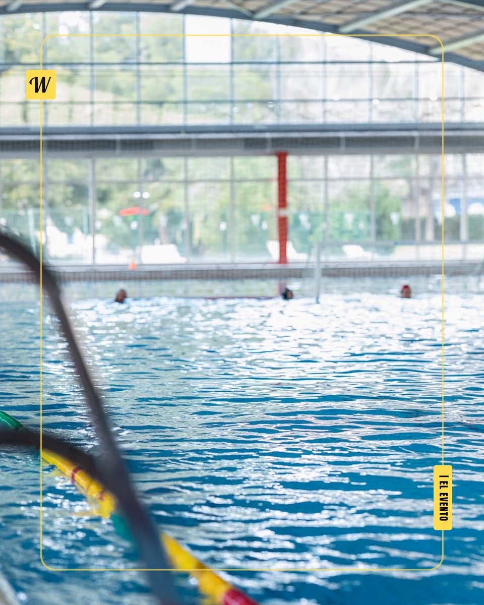 waterpolistacom's tweet image. Este Congreso cuenta con Francisco M. Argudo como cabeza visible junto a un grupo de expertos que trabajan hoy día en diversas investigaciones sobre el waterpolo actual 

¿Qué te parece la iniciativa ______?

✒️ | Te lo cuenta @etoster 

🔗n9.cl/916ua7

#Internacional