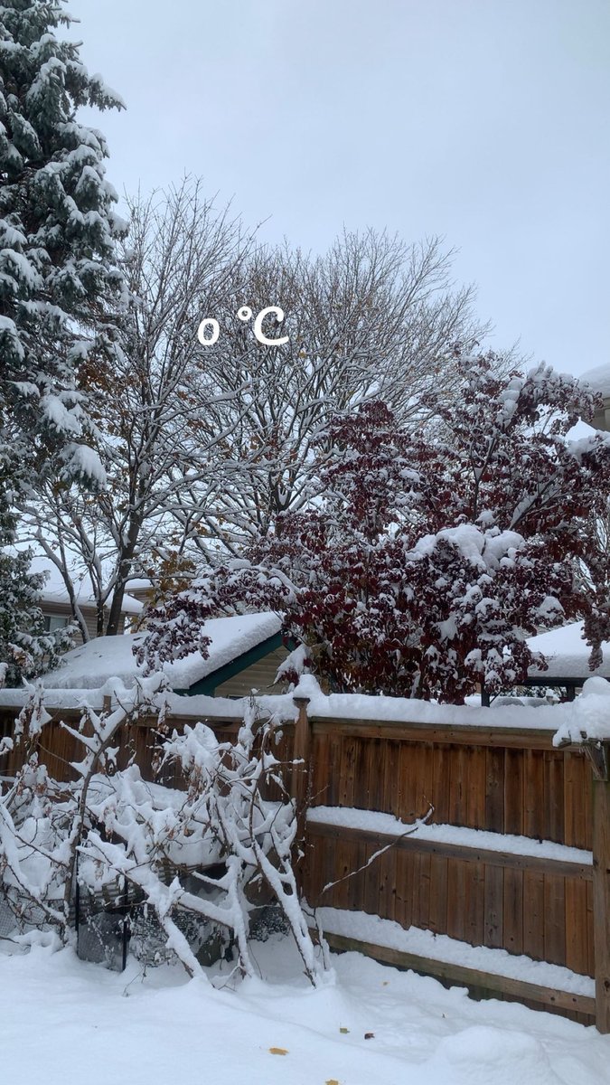 i_am_simkhada's tweet photo. Hello ❄️ 🥶 https://t.co/o0oFFw4lt2
