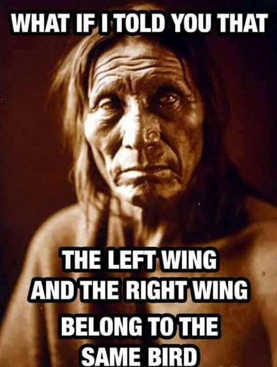 Only voters think they have 2 governments. Whichever politician is lying and stealing, they all benefit from it! 
#burnitalldown
