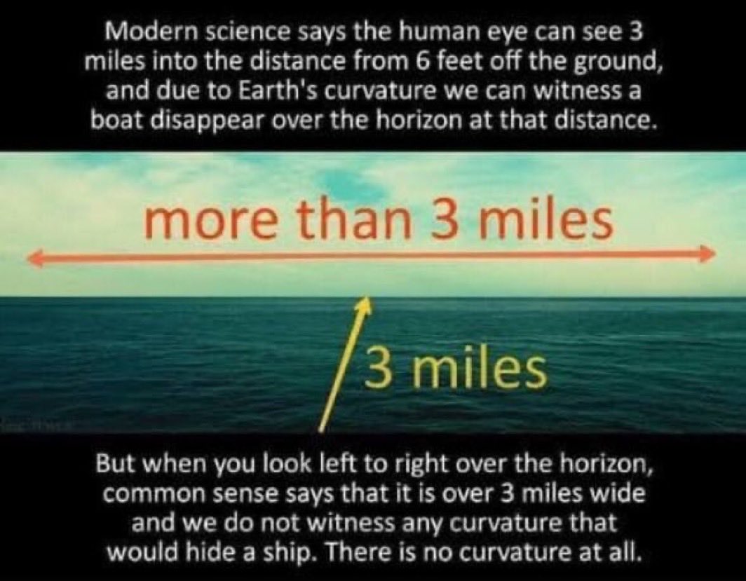 FLAT on XRPL tweet media