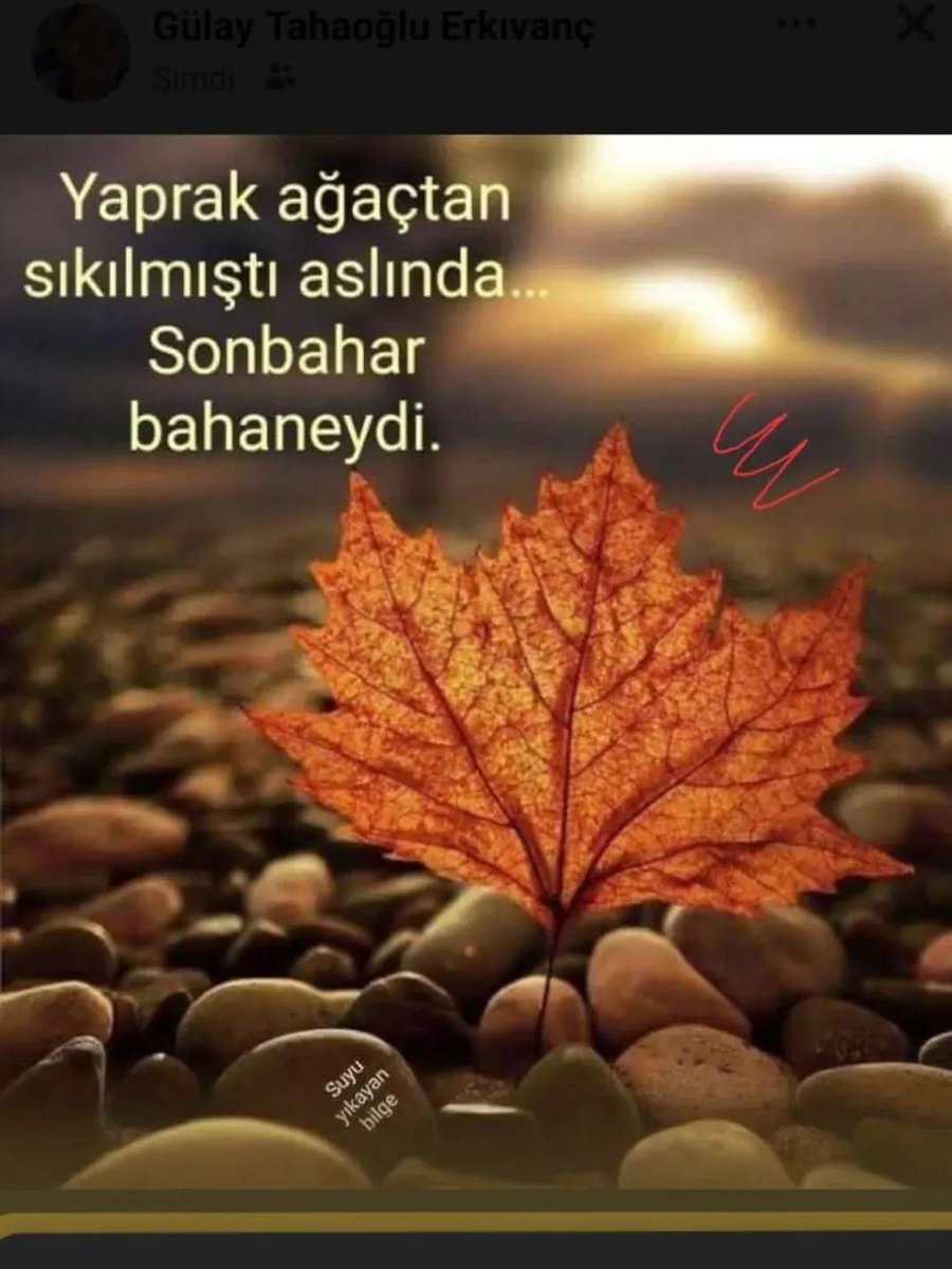 سلام علیکم 
Bugün de akşam oldu,
HAYIRLI AKŞAMLAR HERKESE. ☕ 💫