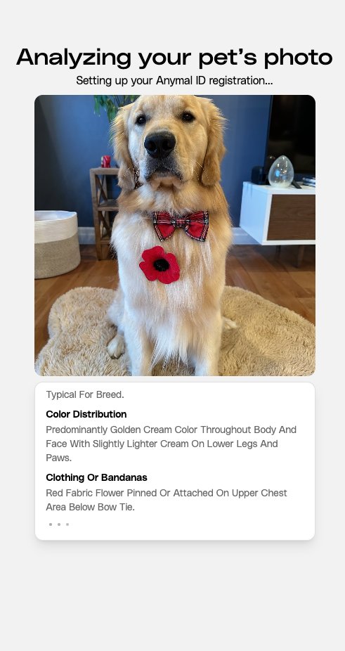 Petastic tweet media