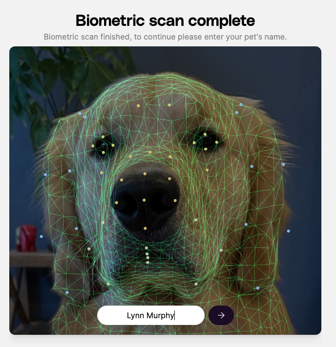 Petastic tweet media