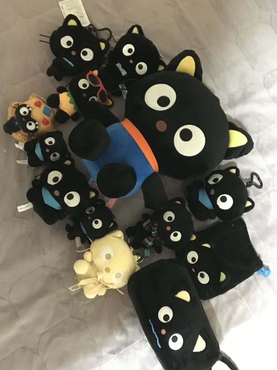 갖고있는 초코캣 다 꺼내봤더니
좀 있으면 초코캣한테 제 방을 다 뺏길 거 같으네요