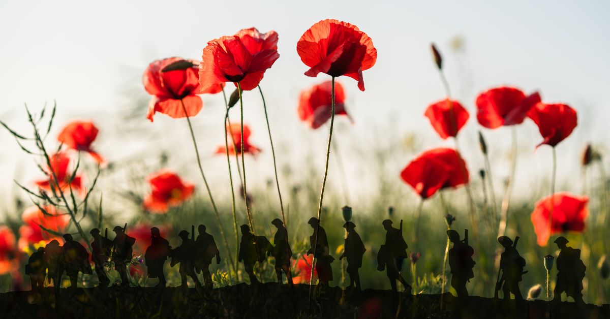 illumicaregroup's tweet image. That mark our place; and in the sky
The larks, still bravely singing, fly

#FlandersFields #RemembranceDay #LestWeForget