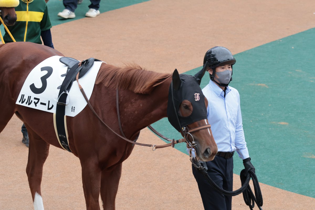 2178❣️ 瑪瑙　馬　唐馬　戦闘馬 kumi on X