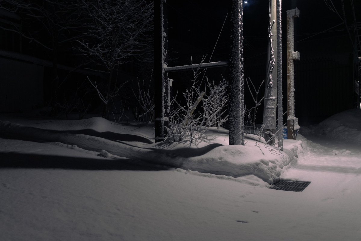 n55_pafu's tweet image. 