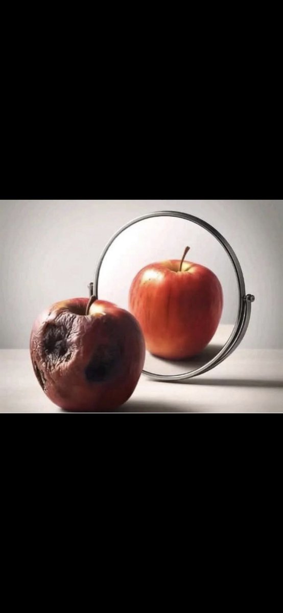 MaceScaron's tweet image. Comment ce quinquennat se voit…