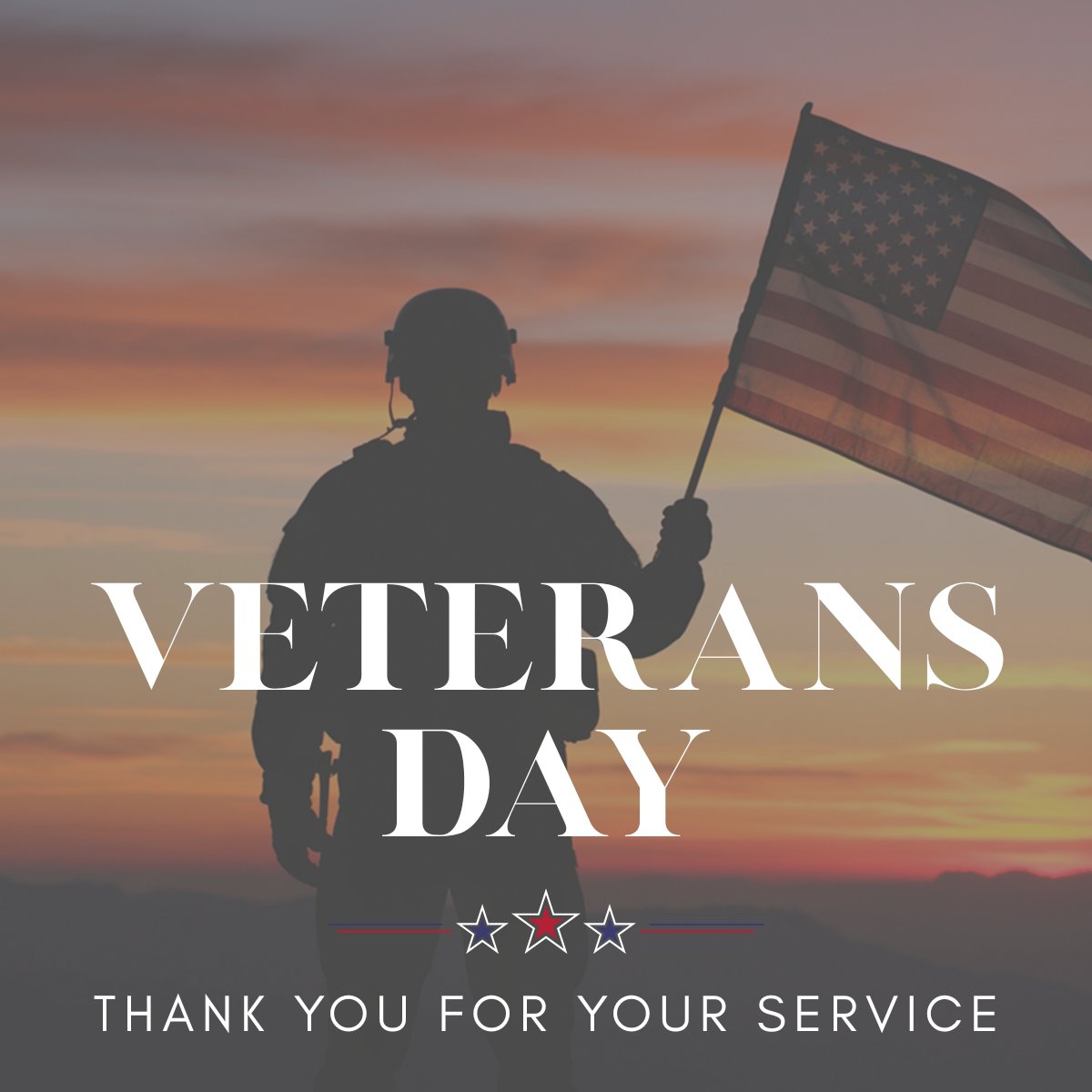 DLNIntegrated's tweet photo. #VeteransDay2025, We salute our active duty and veteran @DLNIntegrated team members today! And to all the brave men and women of our armed forces, thank you for your service. https://t.co/wLJhZiGXcT