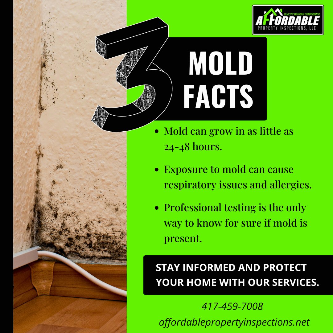 APIMizzou's tweet photo. Mold hides, health suffers 😷 
Book your mold inspection today 👉 https://t.co/IxgYaDChcZ 

#HealthyLiving #SafeHome #ProtectYourFamily https://t.co/XLAFQ5LBlQ
