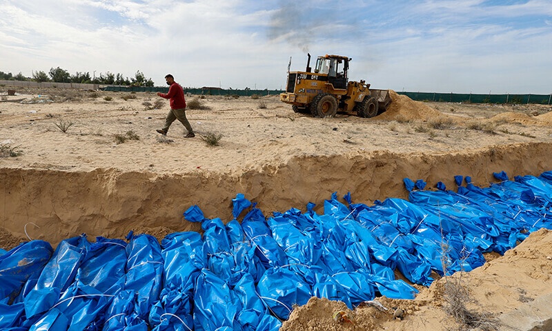 David MacMaster 🔻💚💙дети🍉 🐸 tweet media