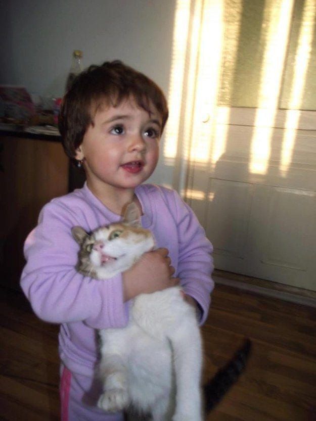 • (@purhaya) on Twitter photo 