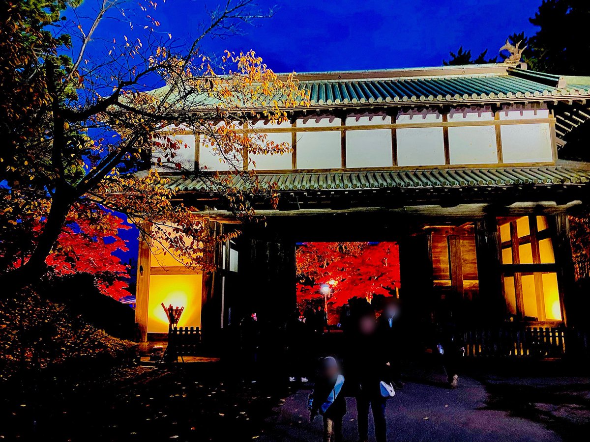 花禅の庄【青森県黒石市】 tweet media