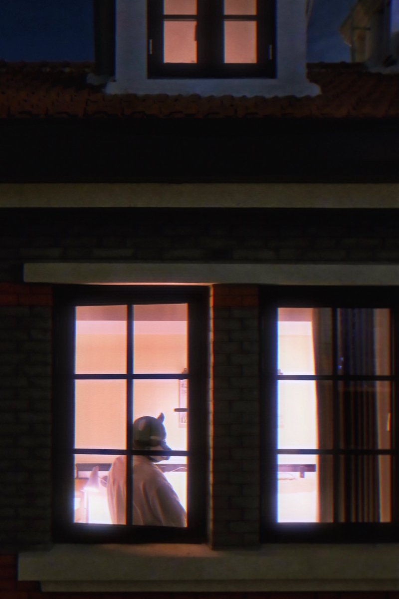 SH私房摄影 tweet media