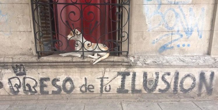 francomma07's tweet photo. buen día redonditos, tengan un martes a puro rock maravilla🥃 https://t.co/Um2PWQYPFG