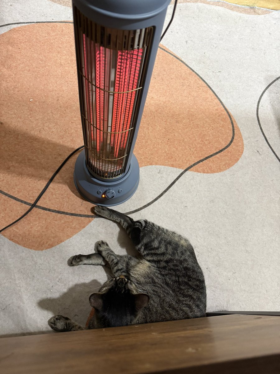 ノビター（5匹家族） (@00shitemita) / Posts / X