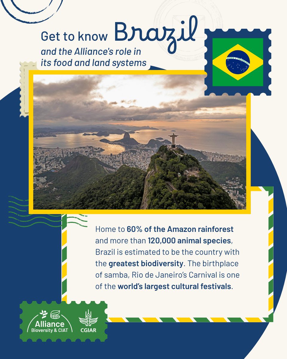 BiovIntCIAT_eng's tweet image. 🌱 Brazil is hosting #COP30 in Belém. 🌍 The Alliance supports biodiversity, food security &amp;amp; climate-smart farming in the Amazon. 🌳🍠💧 Learn more 👇 
🔗 allbiociat.org/3Jt2tTB