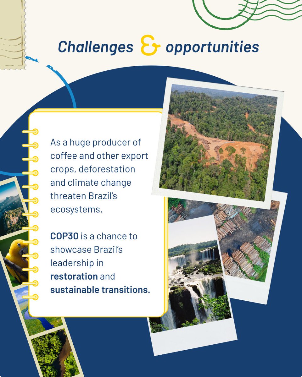 BiovIntCIAT_eng's tweet image. 🌱 Brazil is hosting #COP30 in Belém. 🌍 The Alliance supports biodiversity, food security &amp;amp; climate-smart farming in the Amazon. 🌳🍠💧 Learn more 👇 
🔗 allbiociat.org/3Jt2tTB