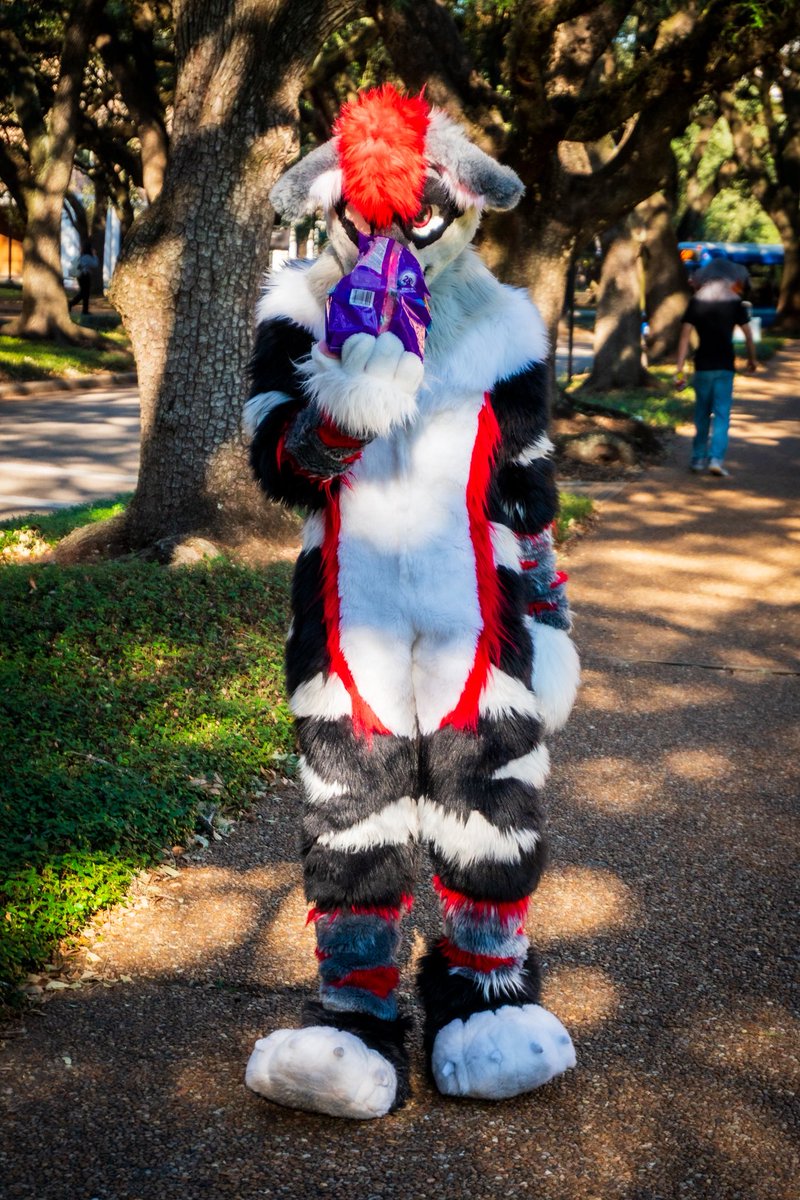 pyrox 🔜 tff tweet media