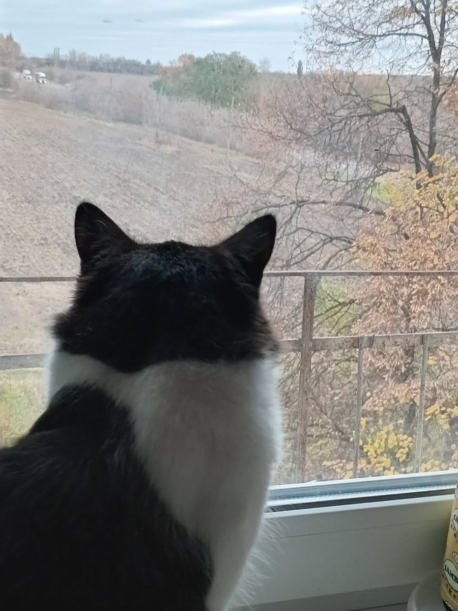 VBuhaiova's tweet image. instagram.com/p/DQ7aXGfjtMQ/…