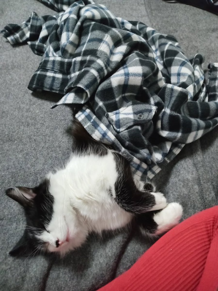 VBuhaiova's tweet image. instagram.com/p/DQ7aXGfjtMQ/…