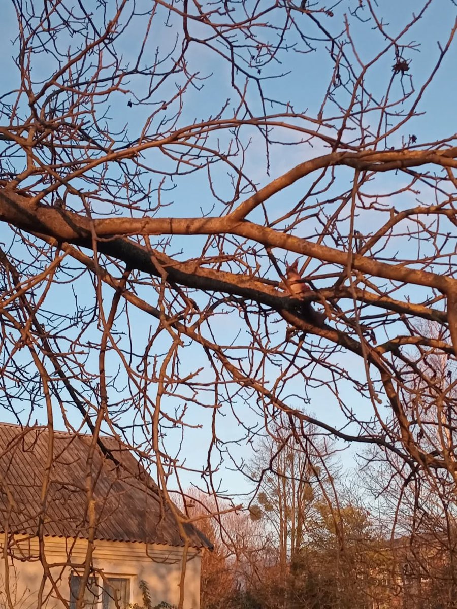 VBuhaiova's tweet image. instagram.com/p/DQ7aXGfjtMQ/…