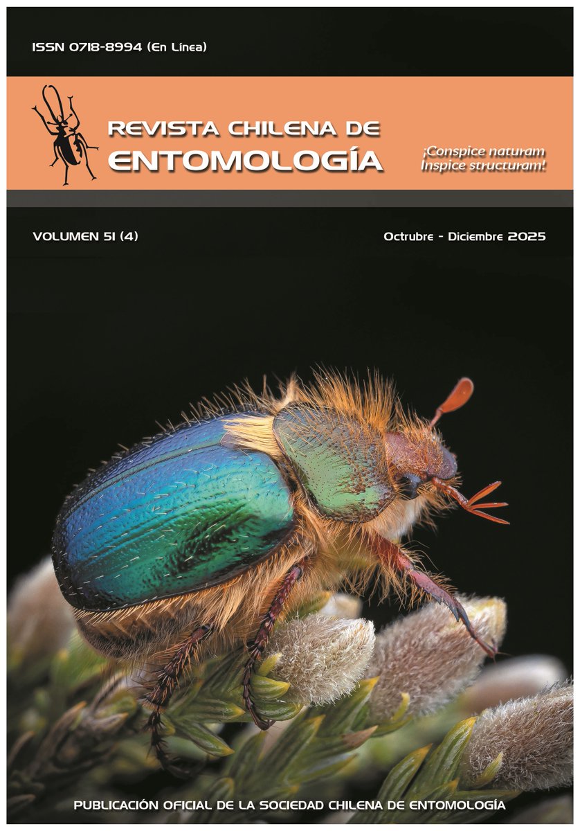 #NewCover. Revista Chilena de Entomología. Volume 51-4 (2025). 
Cover: Aulacopalpus clypealis Ohaus, 1905 (Coleoptera: Scarabaeidae: Rutelinae). Locality: Altos de Cantillana, Santiago Metropolitan Region, Chile. 
Photo courtesy: Vicente Valdés Guzmán (@)biodiversidad_chilena