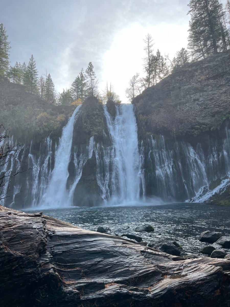 Burney Falls was lovely