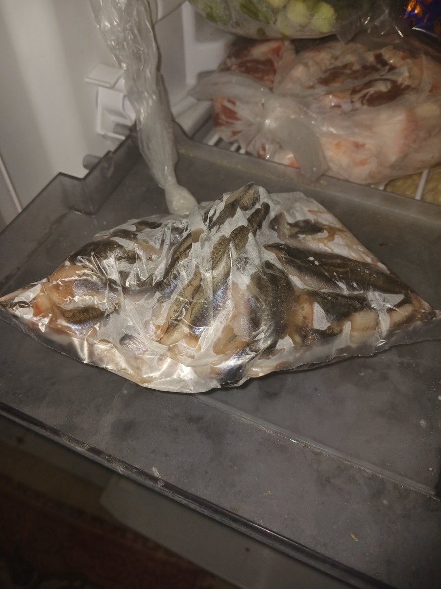 Annem buzluğa balık atmış
Annem galiba yulaf su