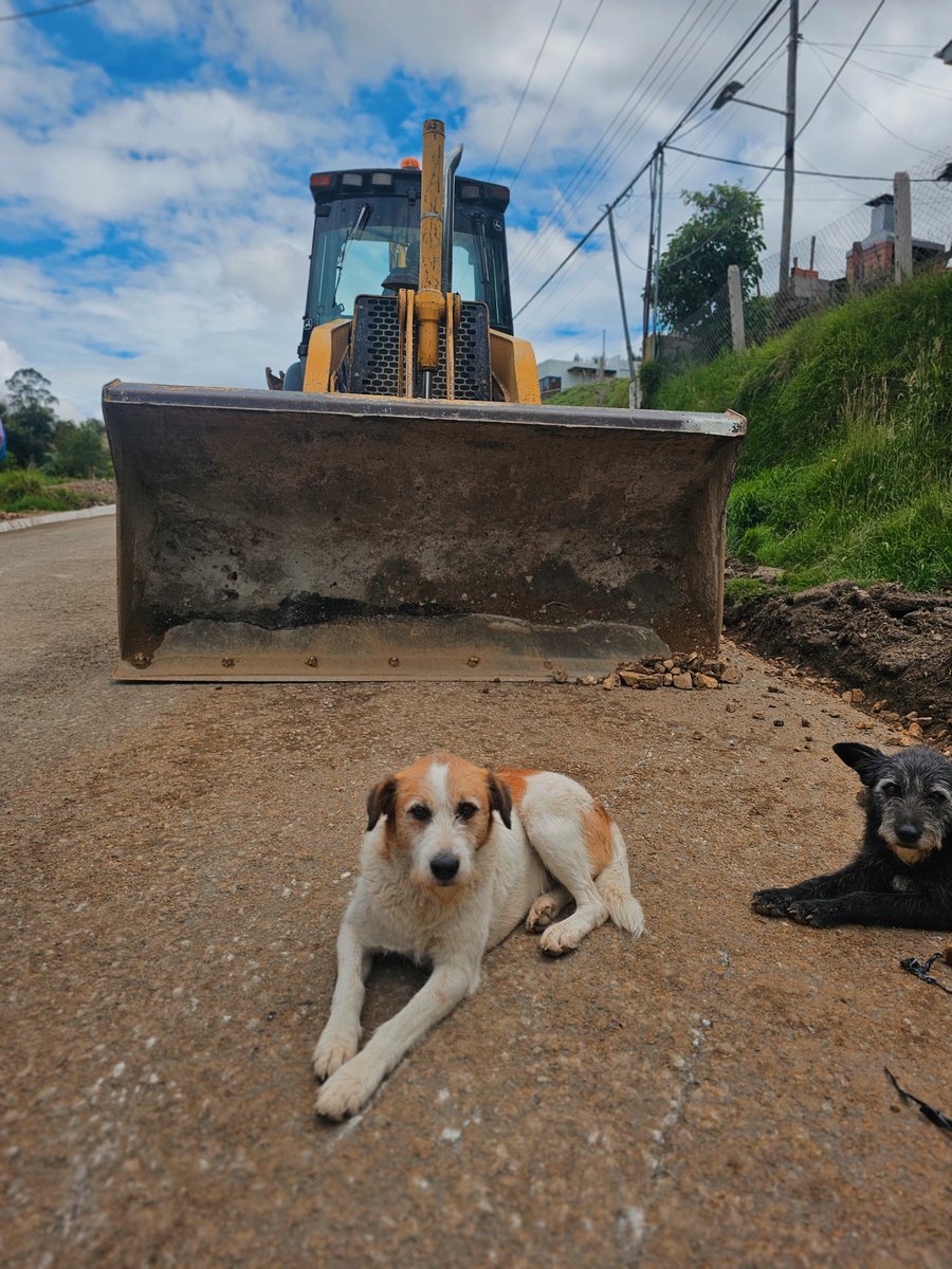 jotalloretv's tweet photo. Más y más obras en #Turi.💧 Estamos construyendo cunetas y bordillos en las vías #ElCisne - #PuntaCorral (4.2 km) y #ElCalvario - #LosOlivos (1.2 km).
Antes estas vías no tenían cunetas, pero ahora garantizaremos el buen manejo de las #aguas para cuidar la vía 🏞️.
Ya se ha ejecutado 1.200 metros lineales. ¡Seguimos a paso firme trabajando por el bien de la comunidad! 🤝
#TransformamosVidas
@AzuayPrefectura