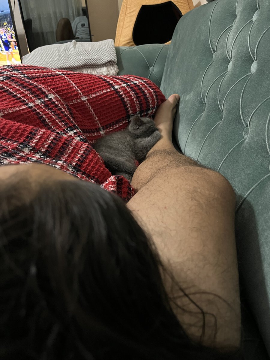 Hanımım dizmin sahibesi iken bir de miniğimiz aynı dize ortak oldu 🤩🧿🐈‍⬛
#catdady #britishcat