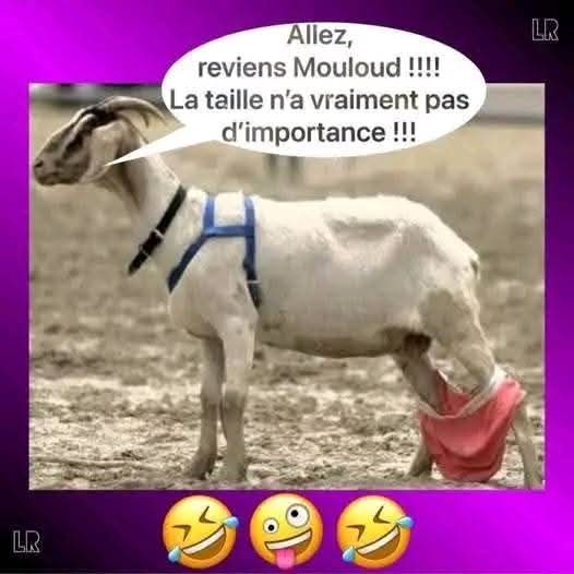 pat75118's tweet image. 