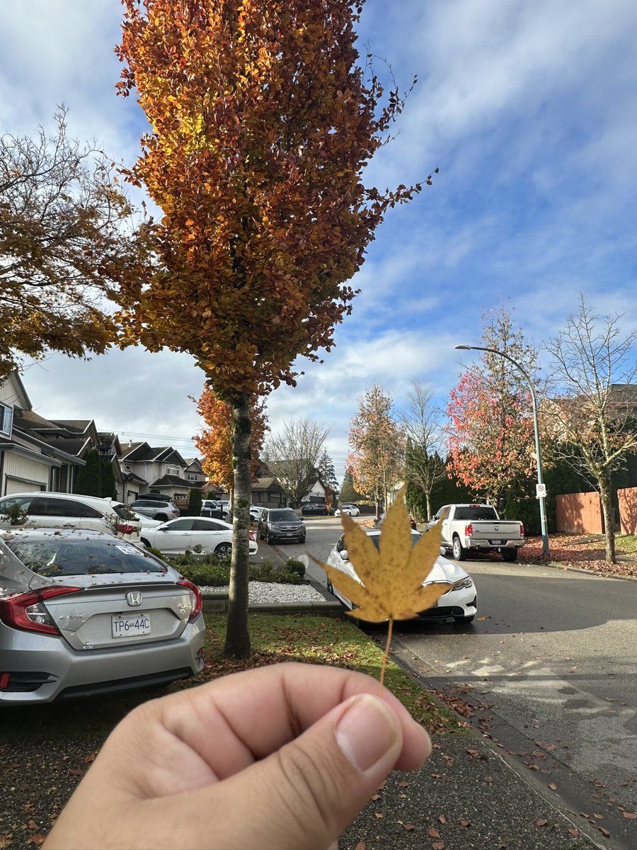 پکارتی رہیں باہیں بدن بلاتے رہے
بہت عزیز تھی لیکن رخ سحر کی لگن

جگر کی آگ نظر کی امنگ دل کی جلن
کسی پہ چارۂ ہجراں کا کچھ اثر ہی نہیں

کہاں سے آئی نگار صبا کدھر کو گئی
ابھی چراغ سر رہ کو کچھ خبر ہی نہیں

چلے چلو کہ وہ منزل ابھی نہیں آئی