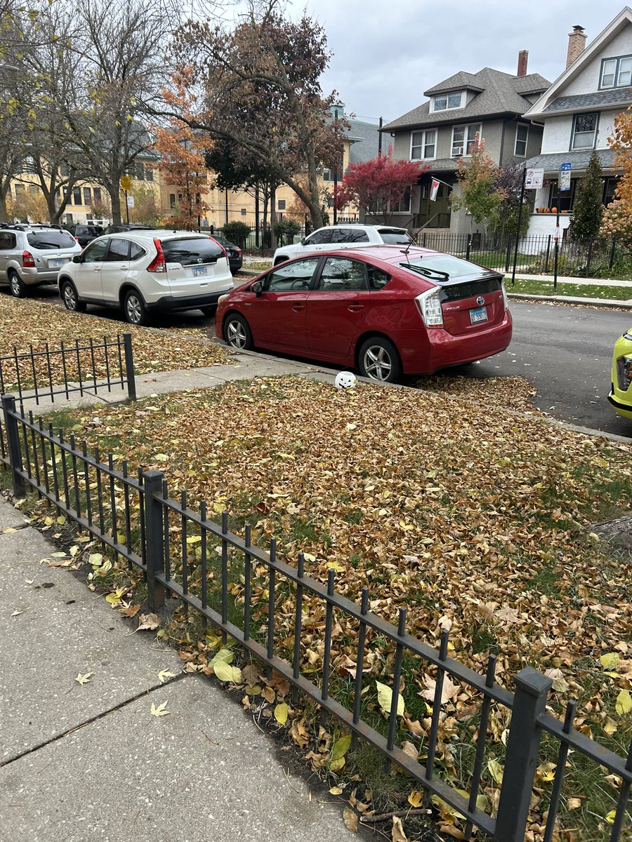 trashndgarbage's tweet image. Halloween leftover