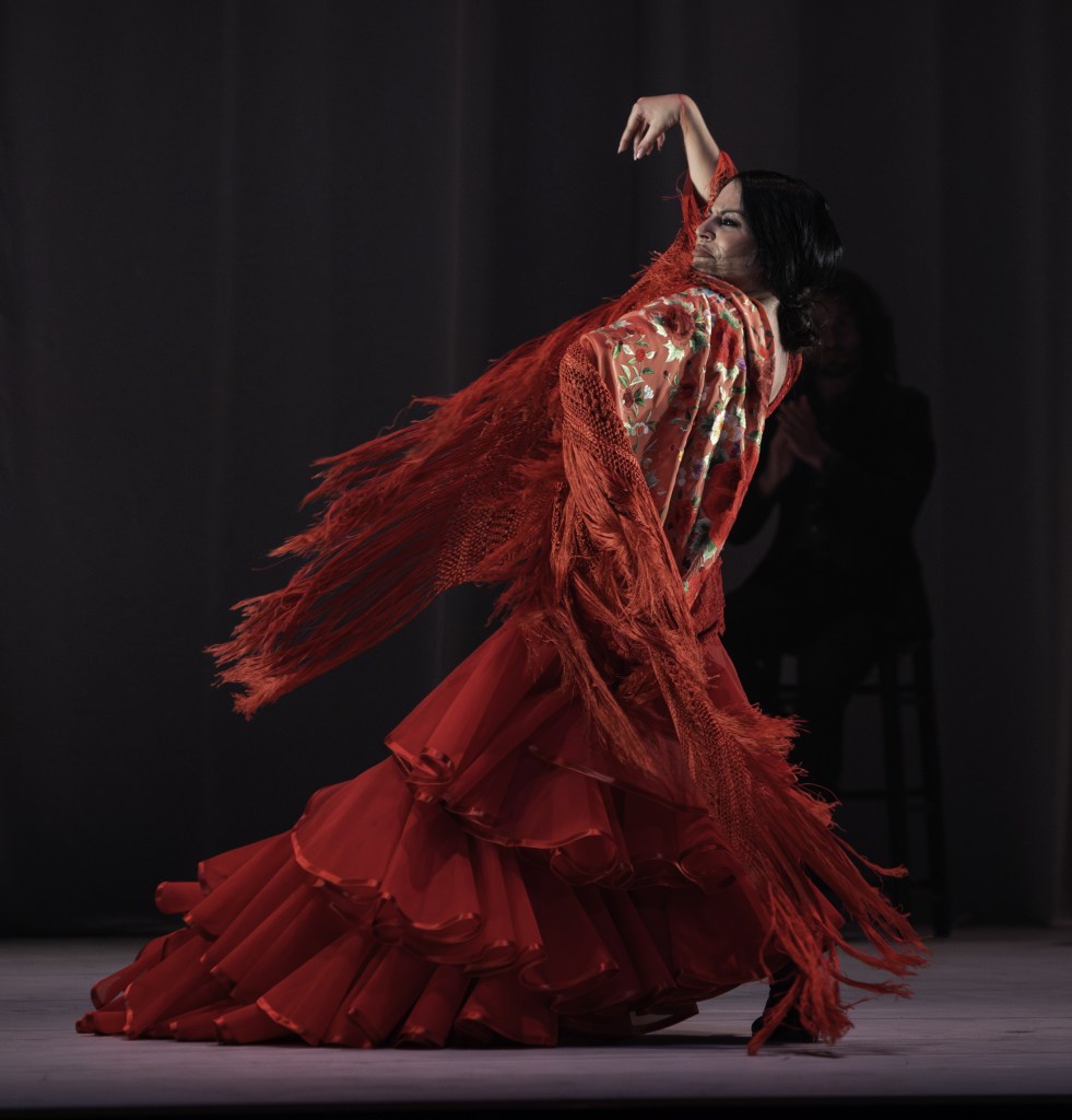 Mercedes de Córdoba, Rosario La Tremendita, Israel Galván, Empaque y Chicharrón Circo Flamenco entre otros artistas, en el XXIV Concurso Nacional de Arte Flamenco de Córdoba del mes de noviembre, vía <a href="/expo_flamenco/">ExpoFlamenco | Portal de arte flamenco</a> expoflamenco.com/revista/merced…