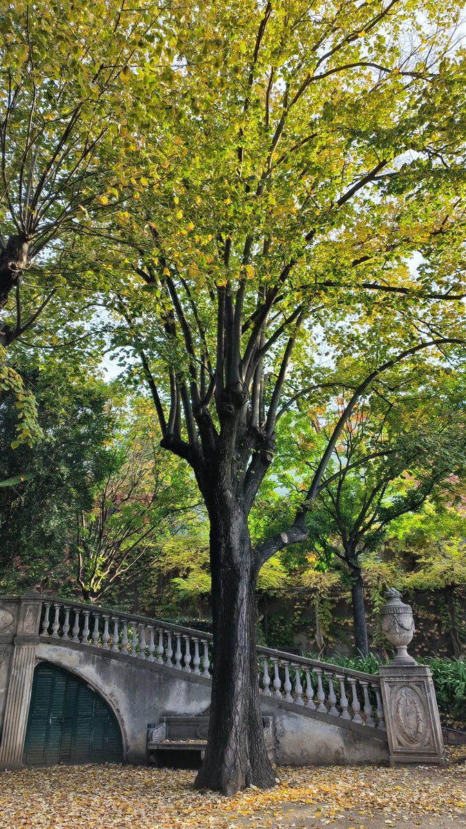 Natura dins la ciutat <a href="/visitaterrassa/">Terrassa Turisme</a>