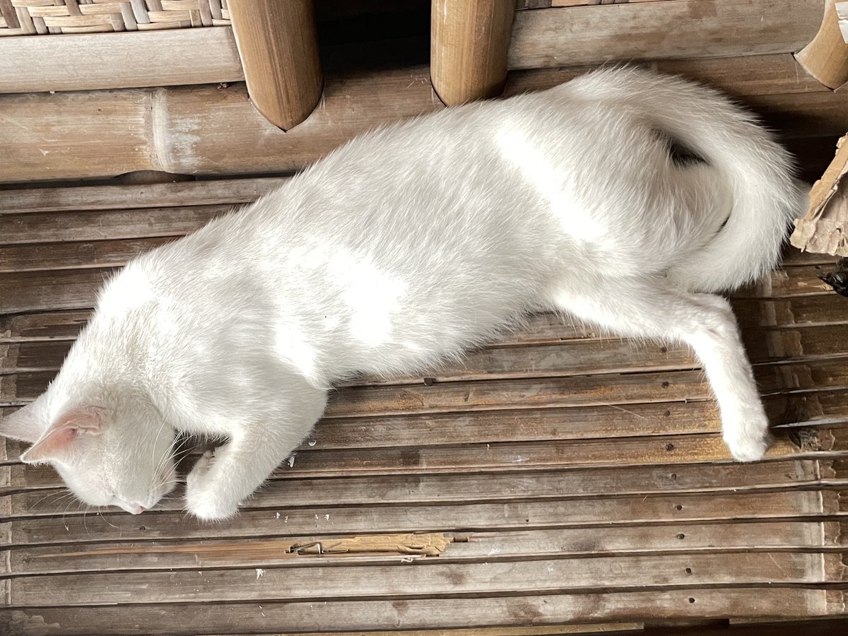 Dygta Holic 🤪 tweet media