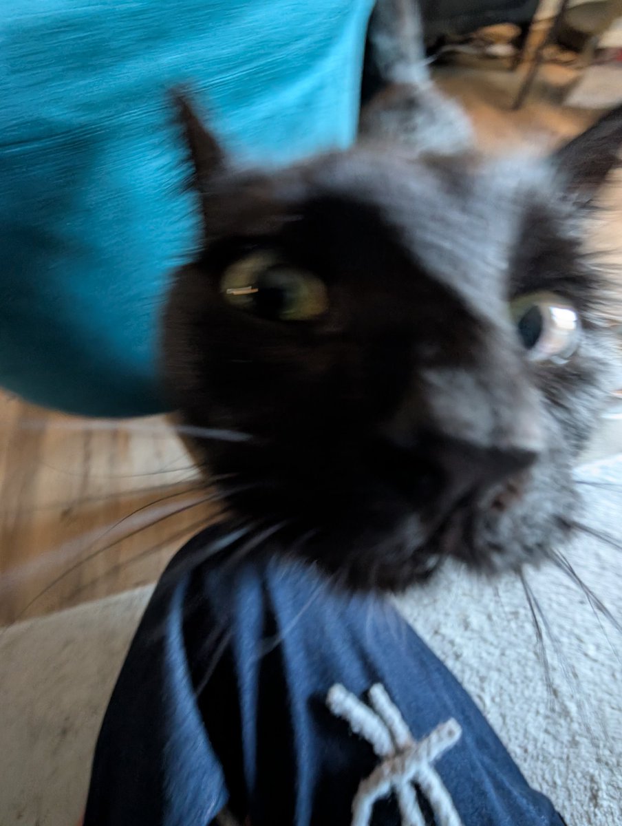 i made ayam pop it was shit