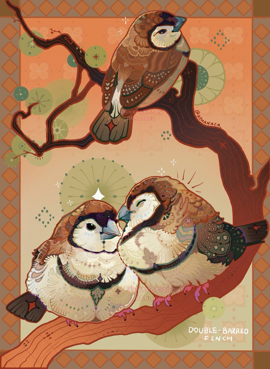 Commission - owl finch✨
#Commission #pet #birdart #owlfinch #illustration